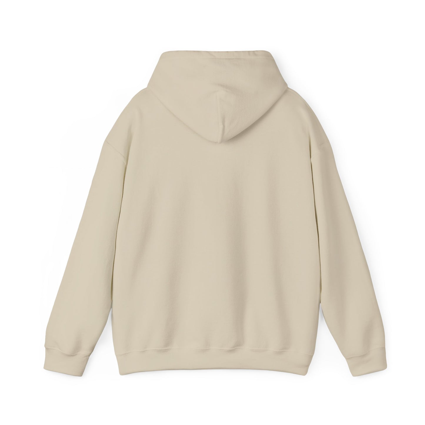 Vintage Varney Speed Lines Hoodie