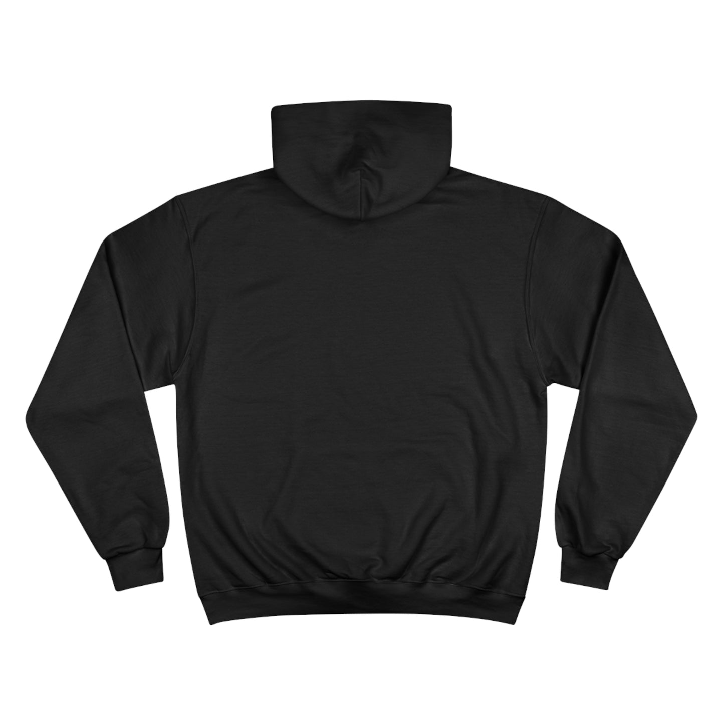 Continental Airlines Champion Hoodie (small logo)